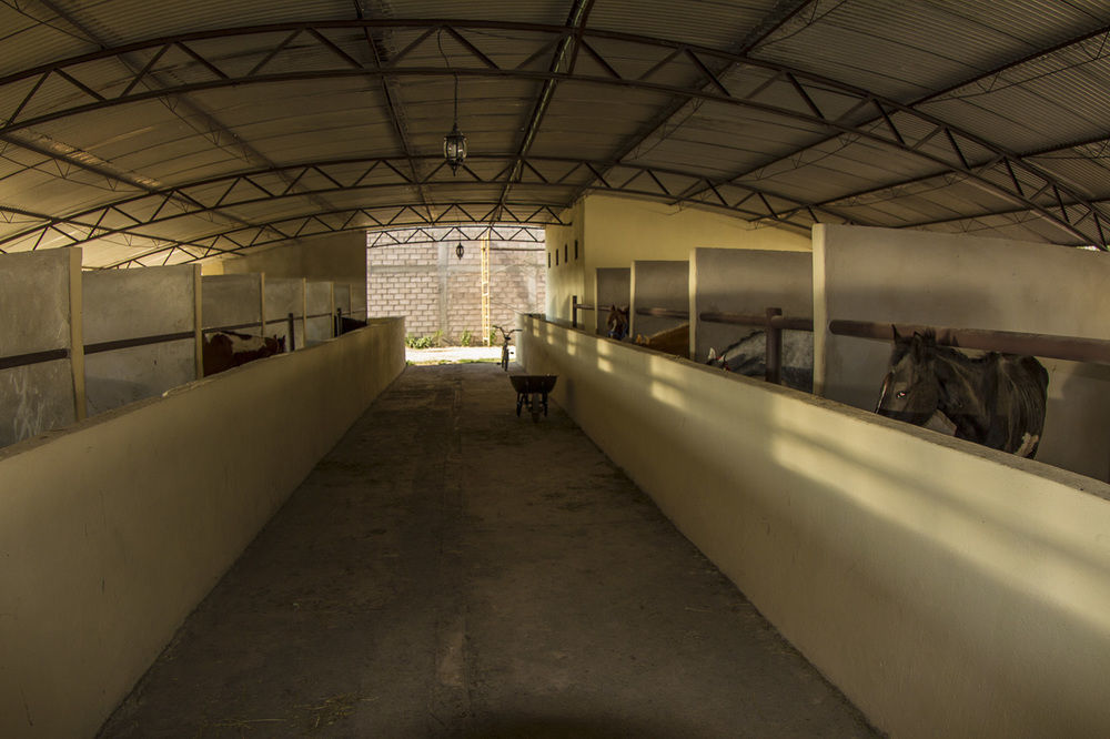 Teoticamp Hotel San Juan Teotihuacán Eksteriør billede